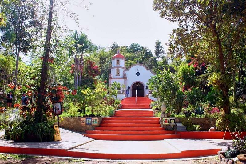 Puerto Vallarta: Botanical Gardens, Distillery & Coffee Tour - Orchids, vanilla, and the garden’s conservation mission