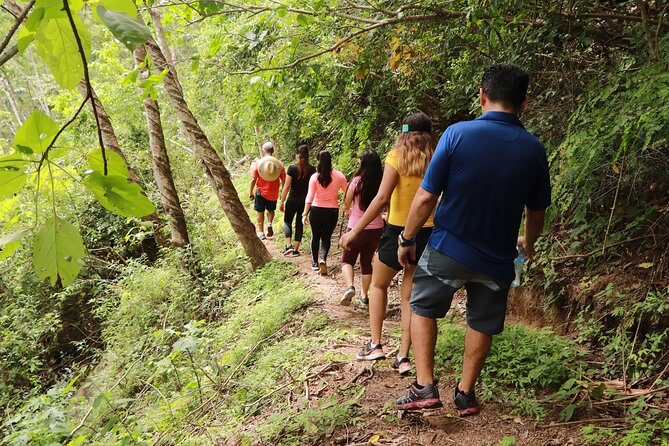 Puerto Vallarta Botanical Gardens Hiking Tour - Tequila Tasting: A Included Taste of the Region