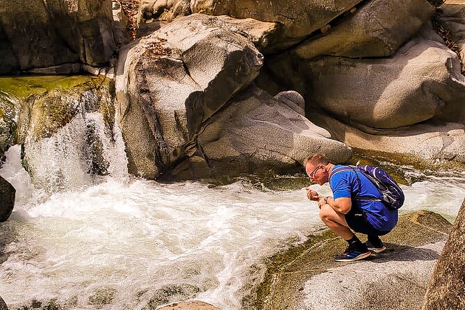 Puerto Vallarta Botanical Gardens Hiking Tour - Food and Drinks: Optional Meal, Included Tasting, Bring Cash for Extras