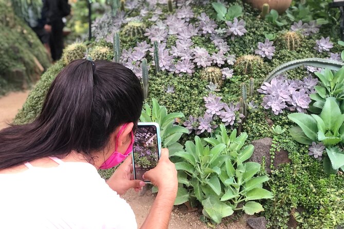 Puerto Vallarta Botanical Gardens Hiking Tour - Price and Value: Is $102 a Smart Deal?