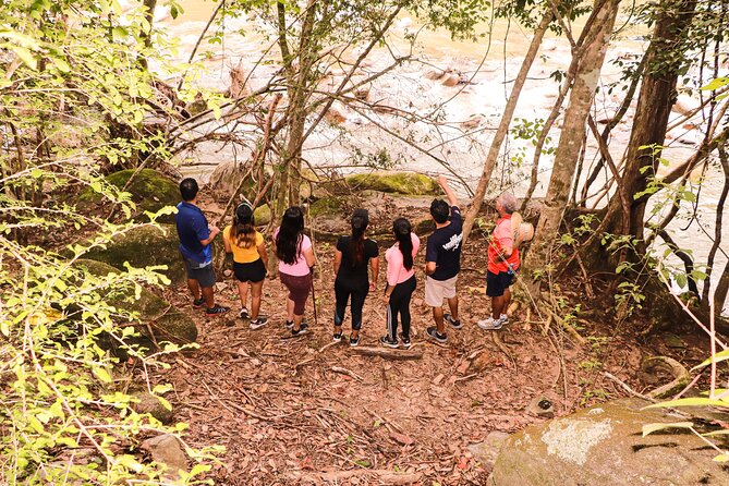 Puerto Vallarta Botanical Gardens Hiking Tour - Logistics That Matter: Meeting Point, Timing, and Staying On Track