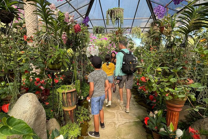 Puerto Vallarta Botanical Gardens Hiking Tour - Who Should Book This Tour, and Who Might Want a Different Day?