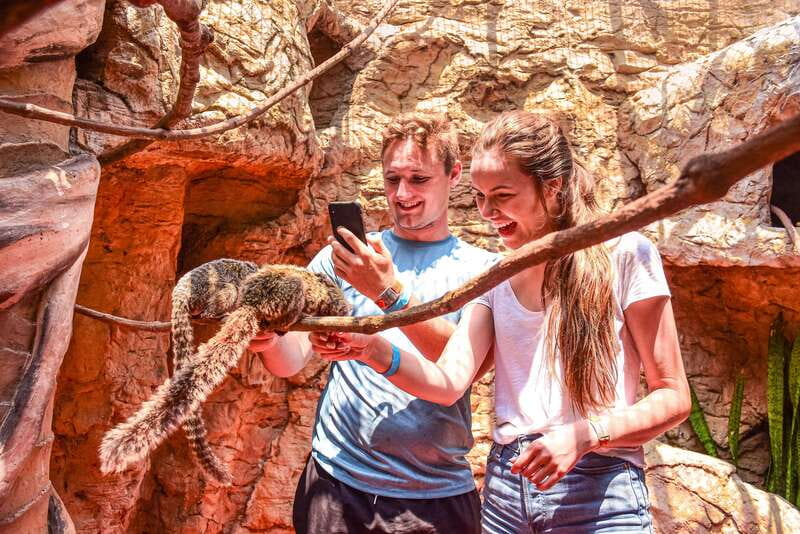Puerto Vallarta: Canopy Tour with Zipline and Speedboat Ride - Animal House Sanctuary: The Part Kids Usually Remember