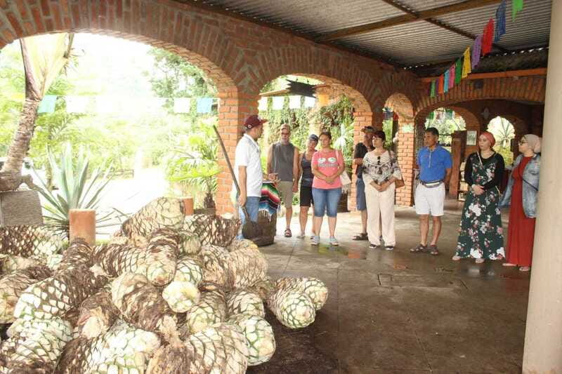 Puerto Vallarta: City Tour, Tequila and Coffee Factory Tour - Getting There Fast with Pickup and Air-Conditioned Comfort