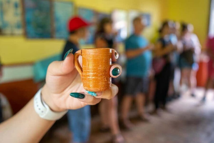 Puerto Vallarta: Guided San Sebastian Tour - The downtown walking tour: small stops with big context