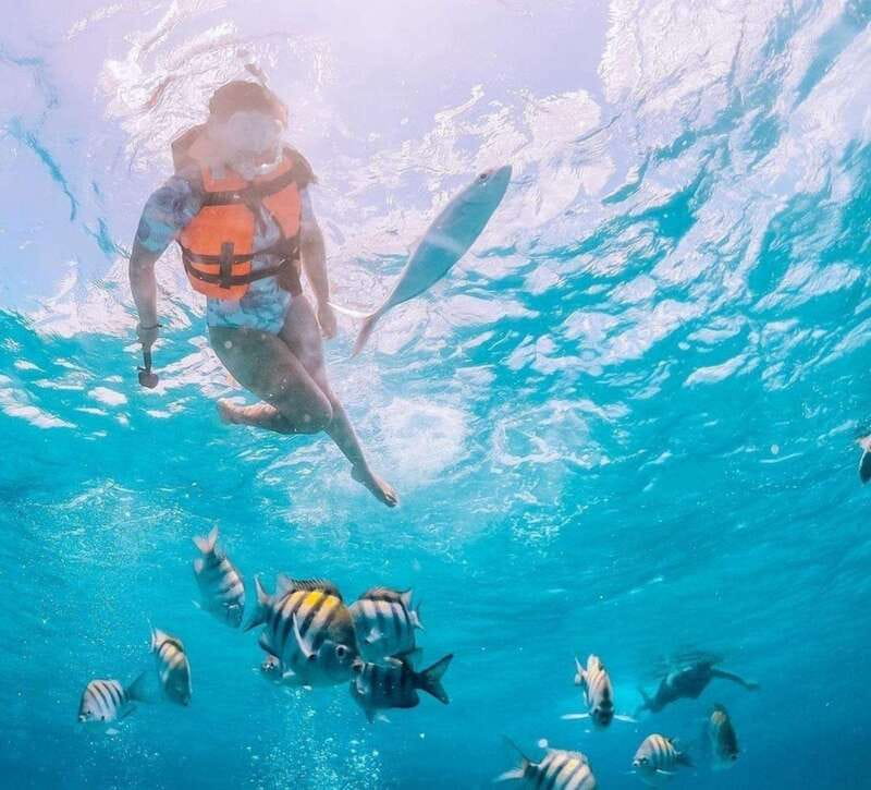 Puerto Vallarta: Los Arcos Islands Boat Tour and Snorkeling - Who Should Book This Tour, and Who Should Skip It
