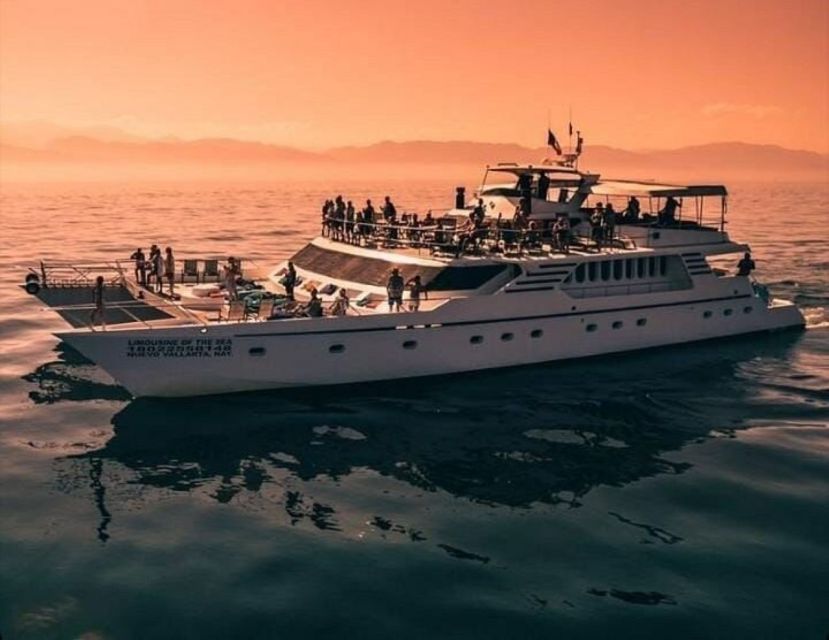 Puerto Vallarta: Mega Yacht Whale Watching Sunset Cruise - Whale Watching in Style: Season Timing and How the Crew Finds the Right Spots