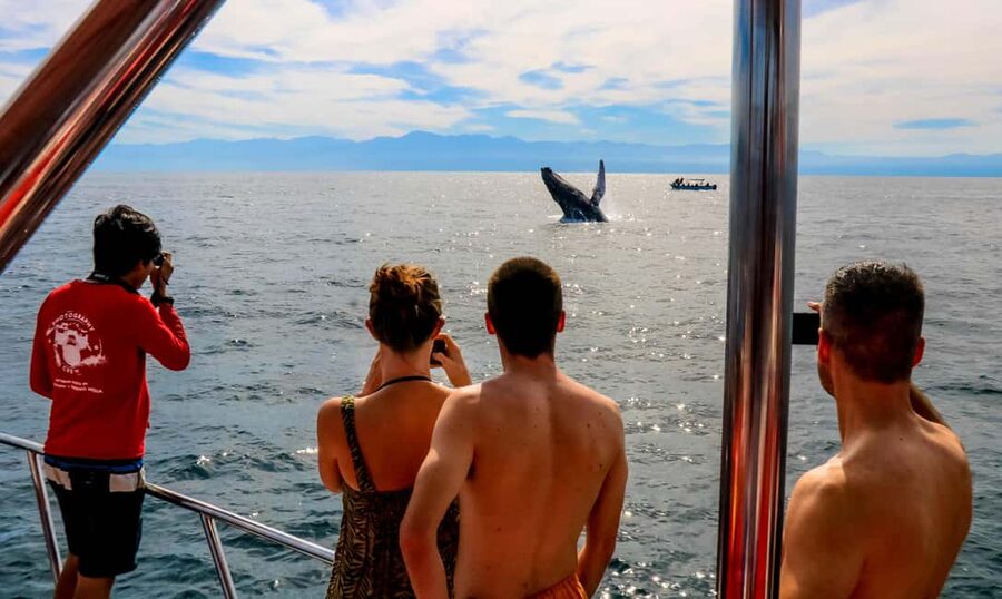 Puerto Vallarta: Mega Yacht Whale Watching Sunset Cruise - Bahía de Banderas Cruise Time: Drinks, Music, and the Pace You’ll Actually Enjoy