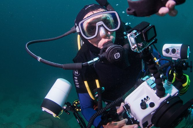 Puerto Vallarta Undersea Private Scuba Diving - Your Private Boat Day: What Makes This Puerto Vallarta Scuba Tour Work
