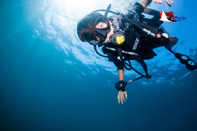 Puerto Vallarta Undersea Private Scuba Diving - Los Arcos de Mismaloya: Rocky Reef Scenery And Wildlife Odds