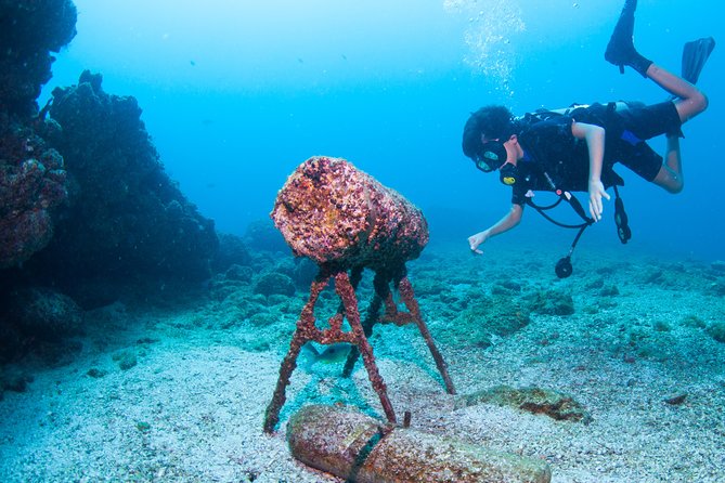 Puerto Vallarta Undersea Private Scuba Diving - Guides Like Carlos, Berenice, Nahum, And Raul: How the Coaching Feels
