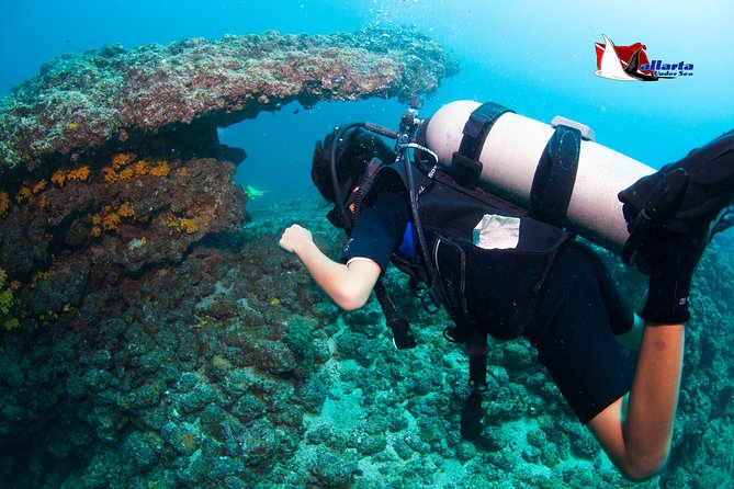 Puerto Vallarta Undersea Private Scuba Diving - Snacks, Sea Conditions, And Timing On a 9am-to-5-hour Plan