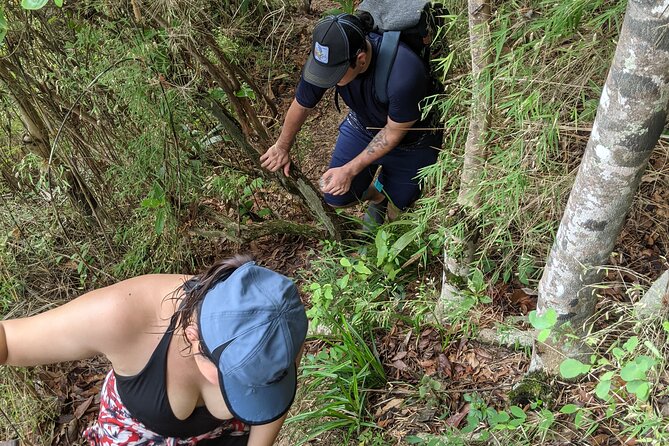 Puerto Vallarta Waterfall Hike - How hard is it, really? Rocks, water crossings, and knee-friendly planning