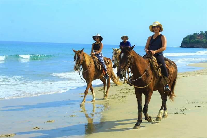 Punta de Mita/Sayulita: Horseback Riding Tour - Who this horseback tour suits best (and who should skip it)