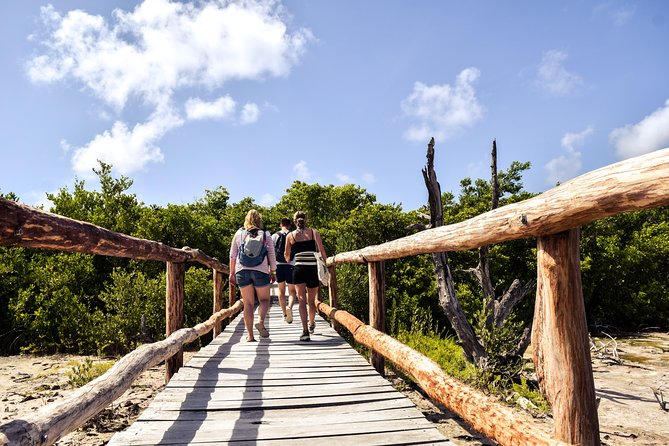 Punta Sur Eco Beach Park Electric Bike Tour in Cozumel - Getting started at Beach Bum Cozumel (Store #5) at 9:15 am