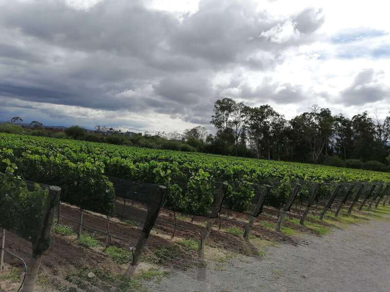Querétaro: Haciendas, Vineyards, and Magical Towns Day Trip - How the Day Feels in Real Life: Timing, Transport, and Group Size