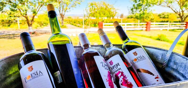Querétaro: Haciendas, Vineyards, and Magical Towns Day Trip - Value Check: Does This $131 Day Trip Make Sense?
