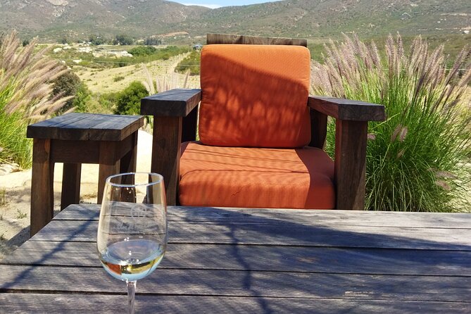 Quiero mas vino, valle de Guadalupe Tours - Stop 1: Bodegas Magoni and Finding Your Flavor Fit