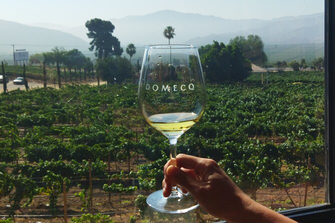 Quiero mas vino, valle de Guadalupe Tours - Stop 2: Los Globos Creamery for Cheese, Jams, and a Reset