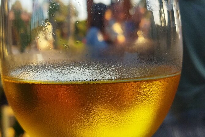 Quiero mas vino, valle de Guadalupe Tours - The Part That Makes It Worth It: Included Drinks and Explanations