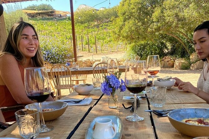 Quiero mas vino, valle de Guadalupe Tours - Price and Value: What You’re Paying For