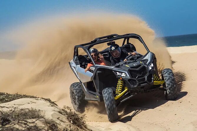 Race the Baja 1000 — Migriño Desert & Beach Off‑Road Adventure - Playa Migriño: Winter Whale Watching and Sunset Views That People Remember