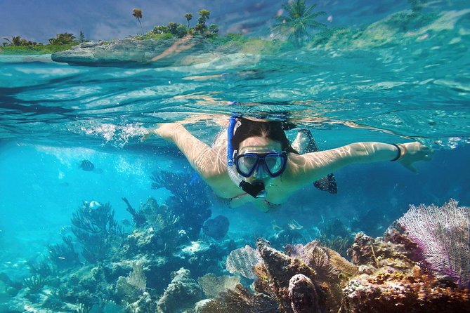 Reef Snorkel In National Park In Puerto Morelos With Lunch And Transportation - No sunscreen, no phone in the reef: practical packing advice that saves your trip