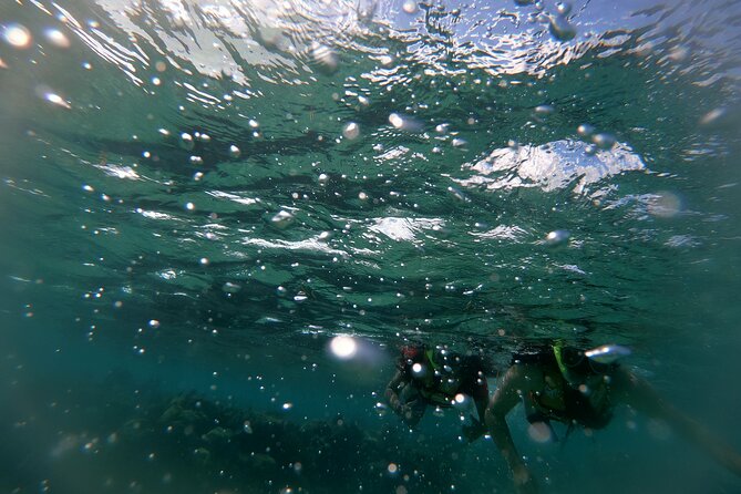 Reef Snorkel In National Park In Puerto Morelos With Lunch And Transportation - Price and value, is $44.25 actually a good deal?