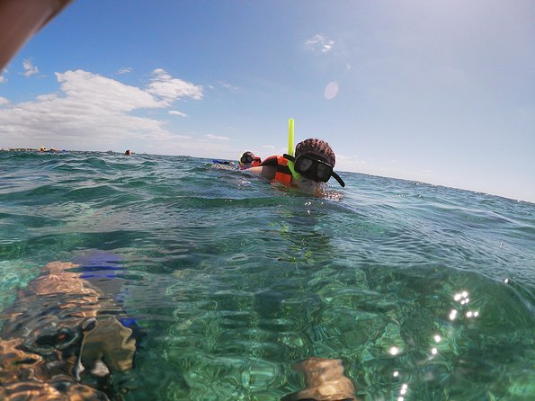 Reef Snorkel In National Park In Puerto Morelos With Lunch And Transportation - The snorkeling in national-park water: what to expect in motion