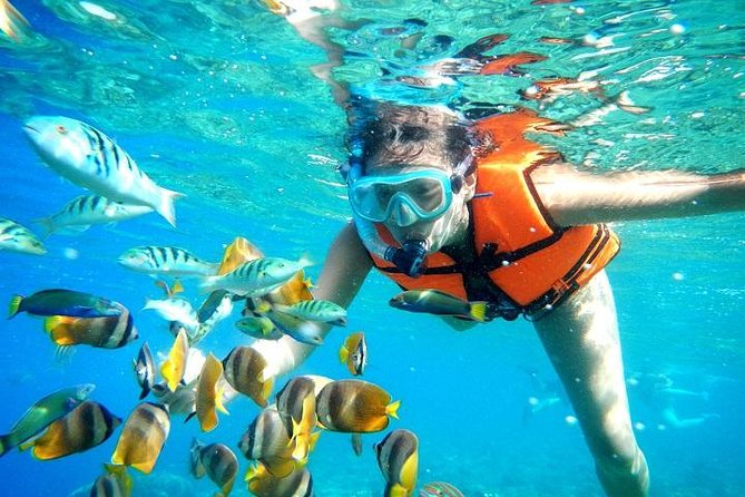 Reef Snorkeling in National Park from Cancun with Beachside Lunch - Cancun Pickup To Puerto Morelos, With A Real Sense Of Order
