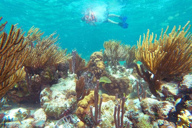 Reef Snorkeling in National Park from Cancun with Beachside Lunch - Tequila Tasting (18 Plus) And Photo Packages: Optional, But Watch The Flow