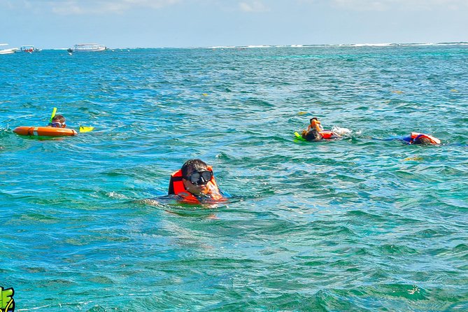 Reef Snorkeling in National Park from Cancun with Beachside Lunch - Who This Tour Works For, And Who Might Prefer Another Reef Plan