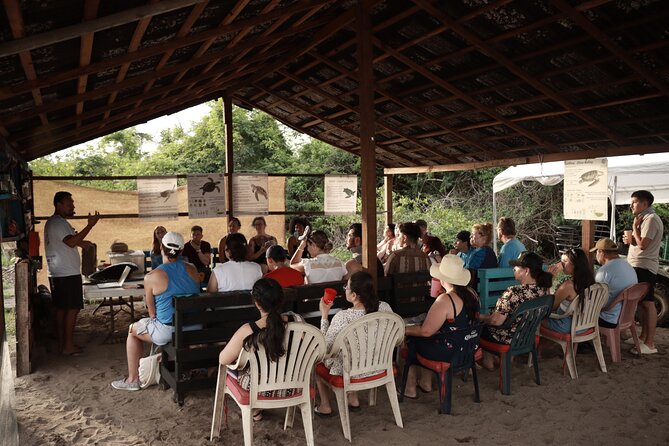 Release of Sea Turtles in Camp Tortuguero - The walk and mangroves: crocodile sightings without the scare