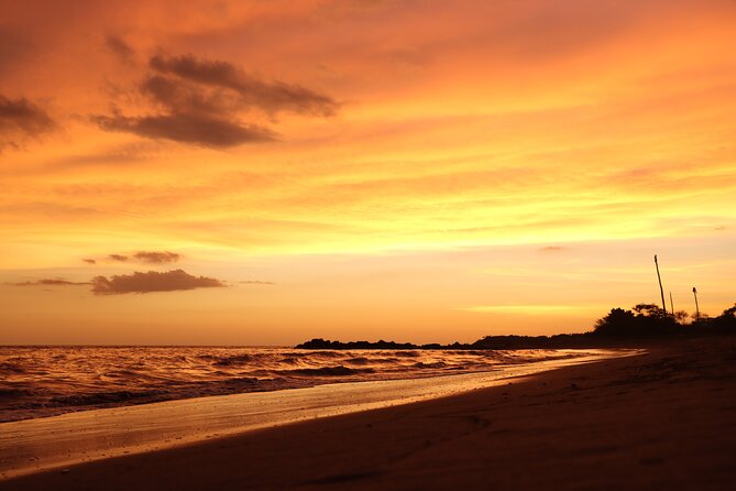 Release of Sea Turtles in Camp Tortuguero - Who should book this turtle release, and who should pause first