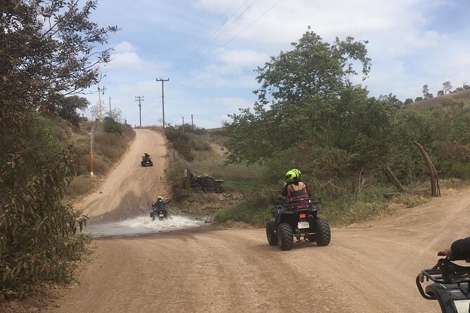 Ride in quad bikes mountains,& paintball/pink tacos - Tacos and the pinkish drink: the best add-on to budget