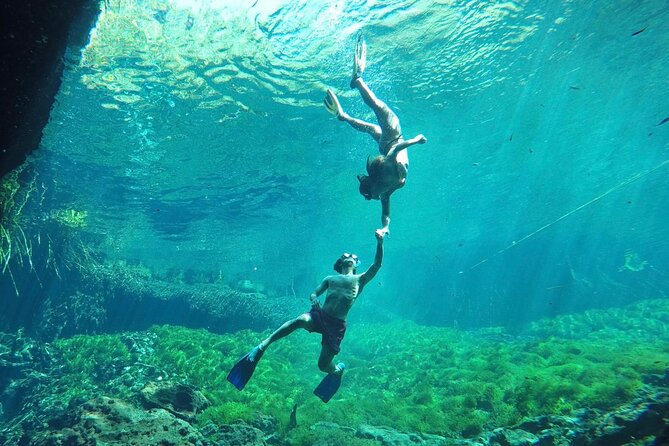 Ride to a life changing cenotes tour - The First Cenote: Cave Swim With a Jungle-First Feel