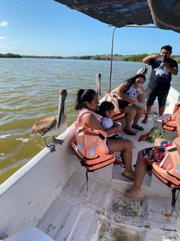 Rio Lagartos and Las Coloradas: Safari Flamingo Luxury - Bird watching stops that turn into hands on moments