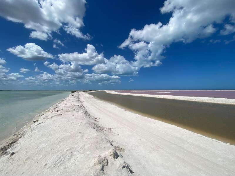 Rio Lagartos and Las Coloradas: Safari Flamingo Luxury - Flamingos in Las Coloradas wetlands, the best kind of photo subject