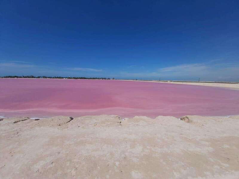Rio Lagartos and Las Coloradas: Safari Flamingo Luxury - Price and what 2300 MXN per group really covers