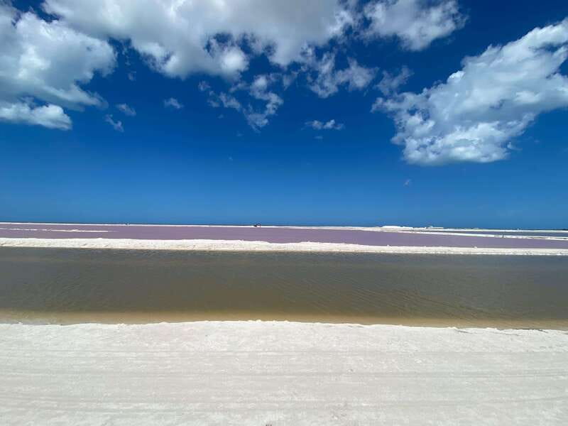 Río Lagartos and Las Coloradas: Wildlife Natural Experience - Río Lagartos and Las Coloradas, in one action-packed 4 hours