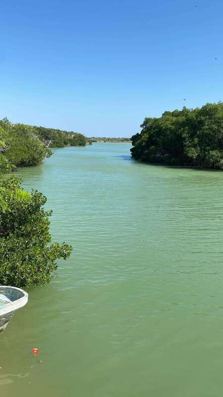 Río Lagartos and Las Coloradas: Wildlife Natural Experience - The 4-hour flow: mangroves, bird stops, and the cenote plus fish spa