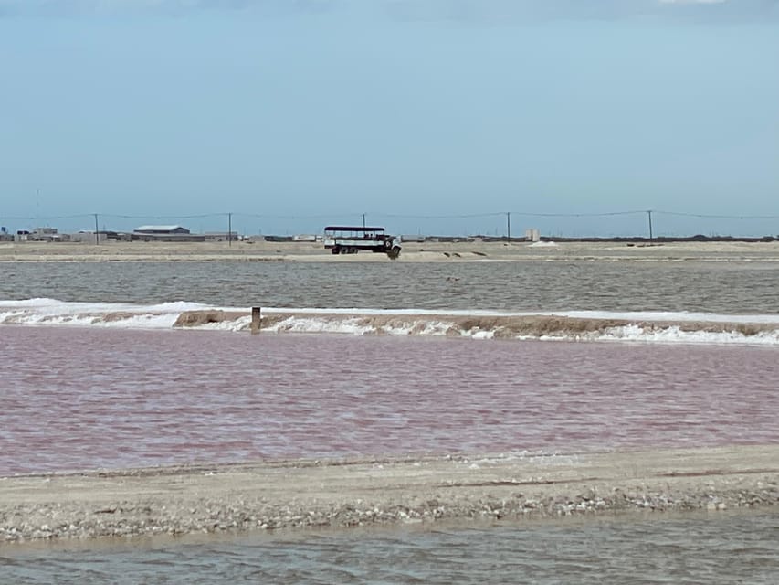 Río Lagartos and Las Coloradas: Wildlife Natural Experience - Las Coloradas pink lagoons behind the salt factory: what to expect