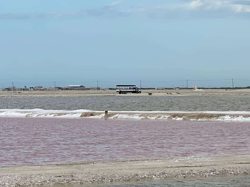Río Lagartos and Las Coloradas: Wildlife Natural Experience - Price and value: what 3,500 MXN covers and what to budget extra