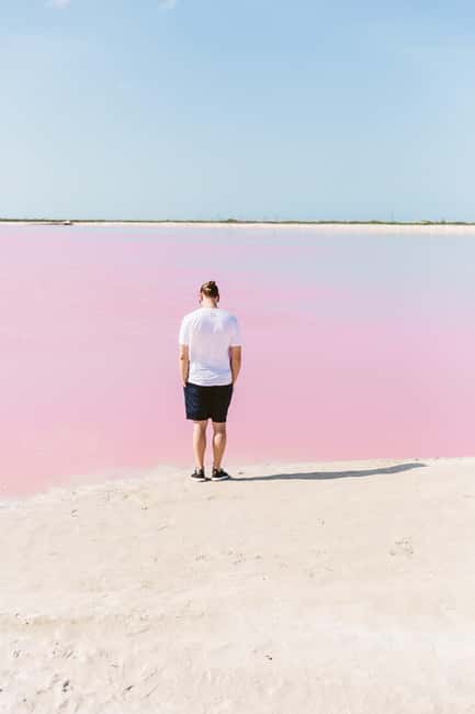 Río Lagartos and Las Coloradas: Wildlife Natural Experience - Who this tour fits best