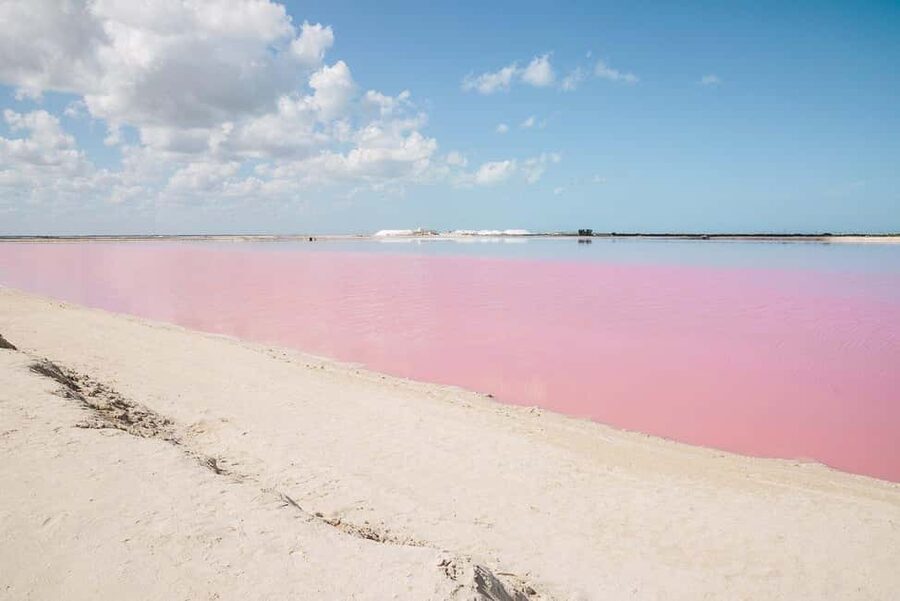 Río Lagartos and Las Coloradas: Wildlife Natural Experience - What exclusive access and licensed guides actually mean on the water