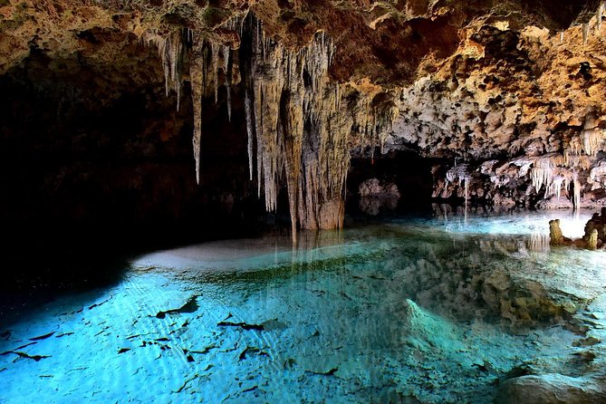 Rio Secreto Skip-the-Line Admission Ticket - Group size and language: what to expect when you booked English