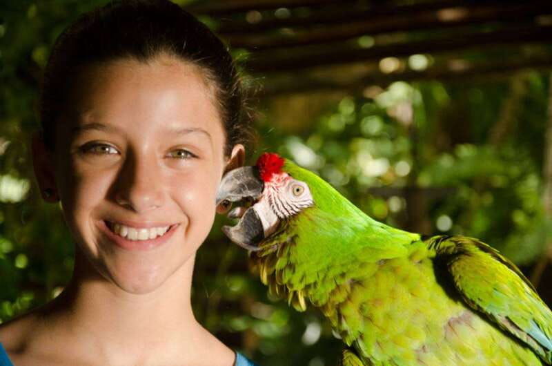 Riviera Maya: Croco Cun Interactive Zoo Tour - Key moments that make Croco Cun feel special