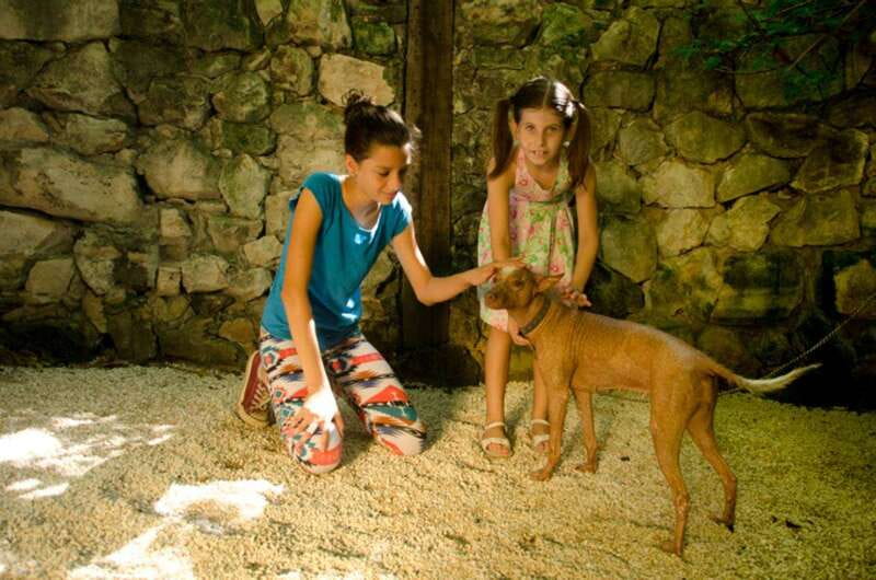 Riviera Maya: Croco Cun Interactive Zoo Tour - The guided walk: learning local wildlife while you’re right there