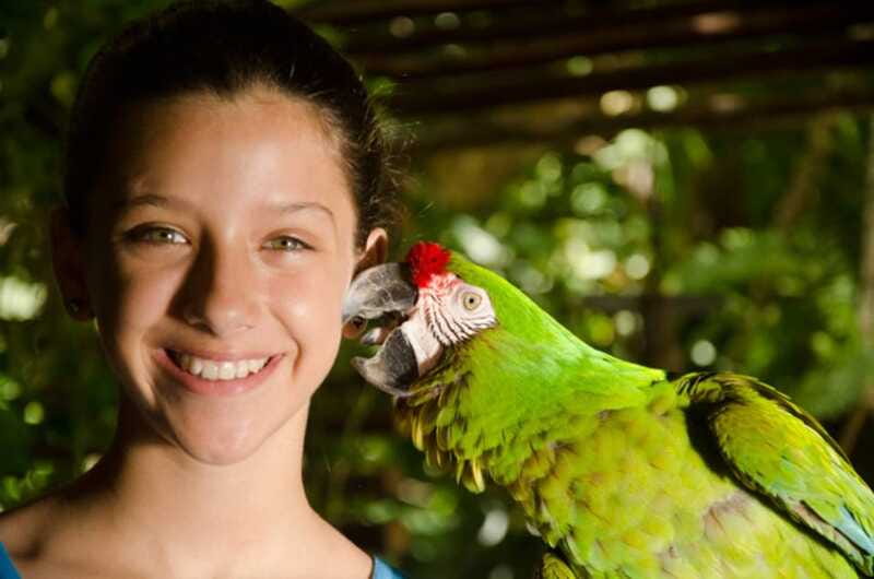 Riviera Maya: Croco Cun Interactive Zoo Tour - Who this tour is best for (and who might want another option)