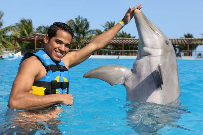 Riviera Maya: Dolphin Encounter with Beach Club Access - What you’re really buying: dolphins plus a legit beach day